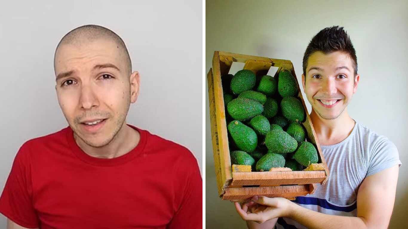 nikocado avocado net worth